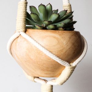 آویز کردن گلدان