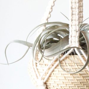 آویز گلدان زیبای سقفی