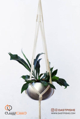 نگهدارنده گلدان