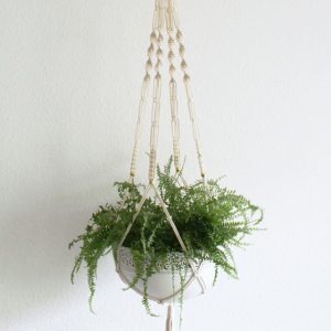 نگهداری گلدان