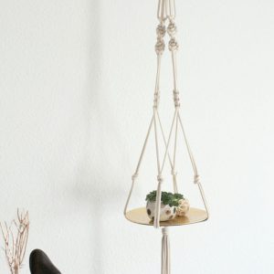 آویز گل و گیاه سقفی زیبا