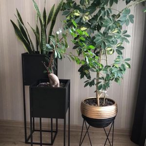 استند گلدان 2 تایی