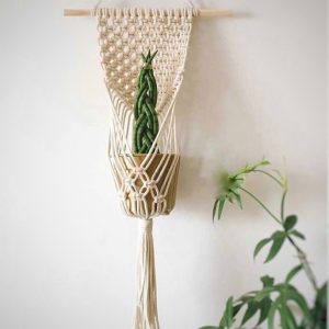 دکوراسیون داخلی منزل با آویز گلدان