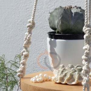 چوب گرد در شلف آویز شماره 1